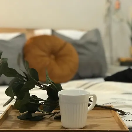 Fika Flat Casco Viejo Parking 15euro X Dia Appartamento Bilbao