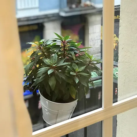 Fika Flat Casco Viejo Parking 20 Euro X Dia *