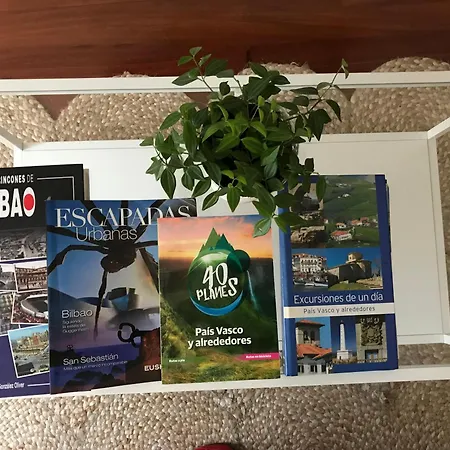 Fika Flat Casco Viejo Parking 20 Euro X Dia