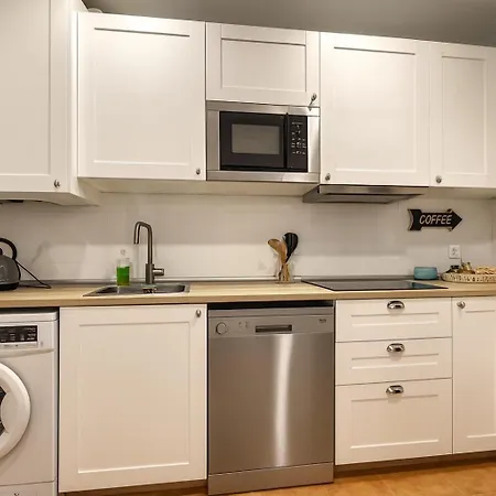 Fika Flat Casco Viejo Parking 15euro X Día Apartamento *