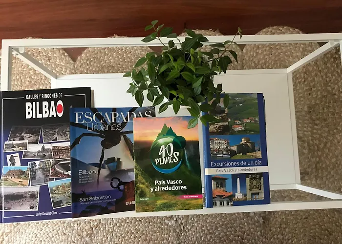 Fika Flat Casco Viejo Parking 15euro X Día