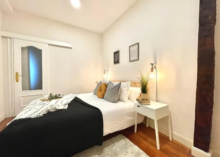 Fika Flat Casco Viejo Parking 15euro X Día *